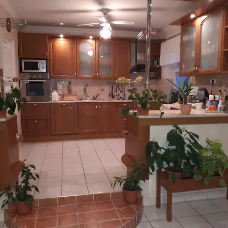 Panda Vendeghaz Guest house 2*